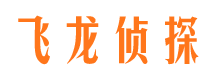 堆龙德庆市调查公司